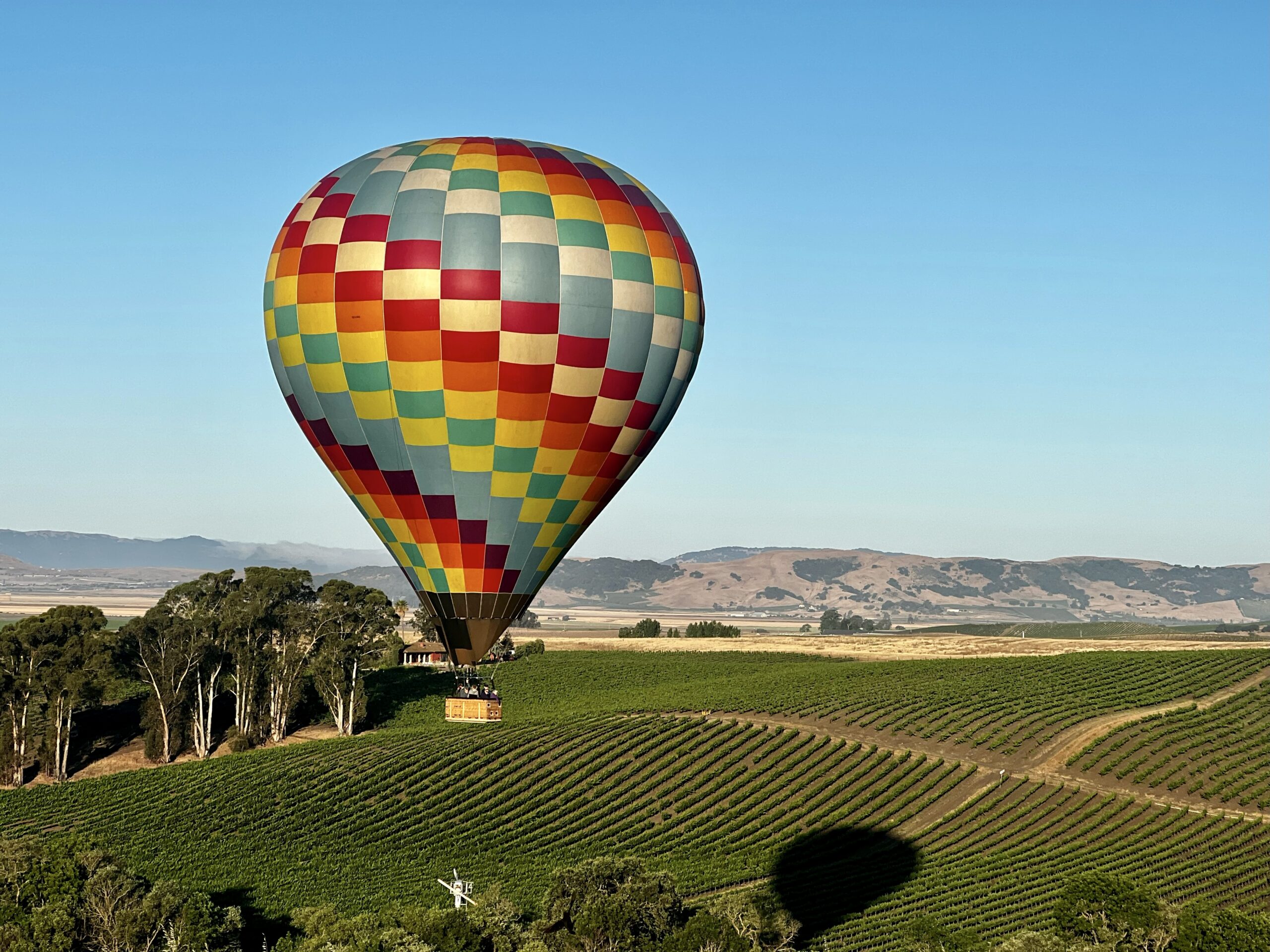 Colorful hot air balloon floating in the skies over vineyards.