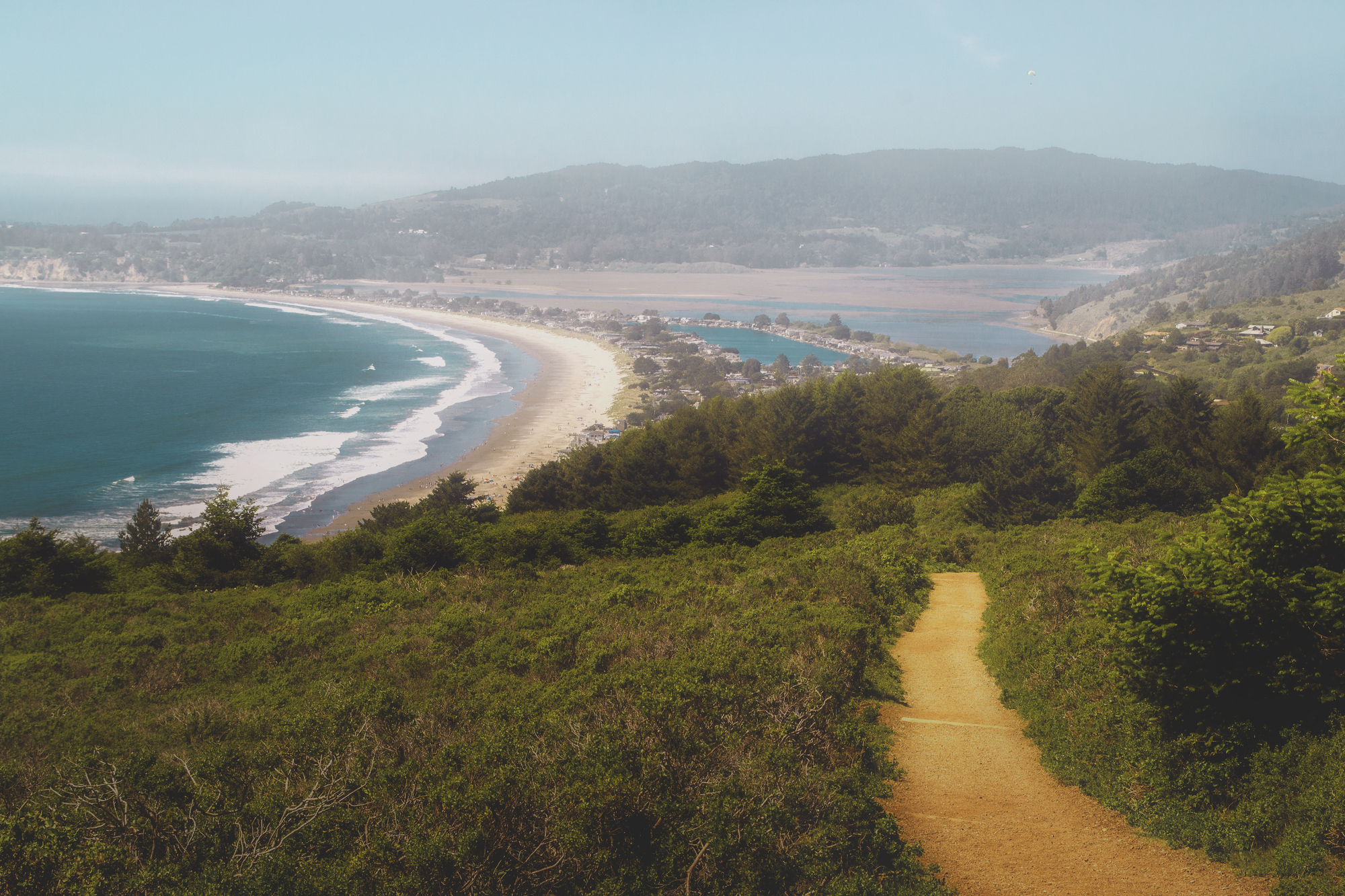 View of the California misty coast on a hiking trail. 