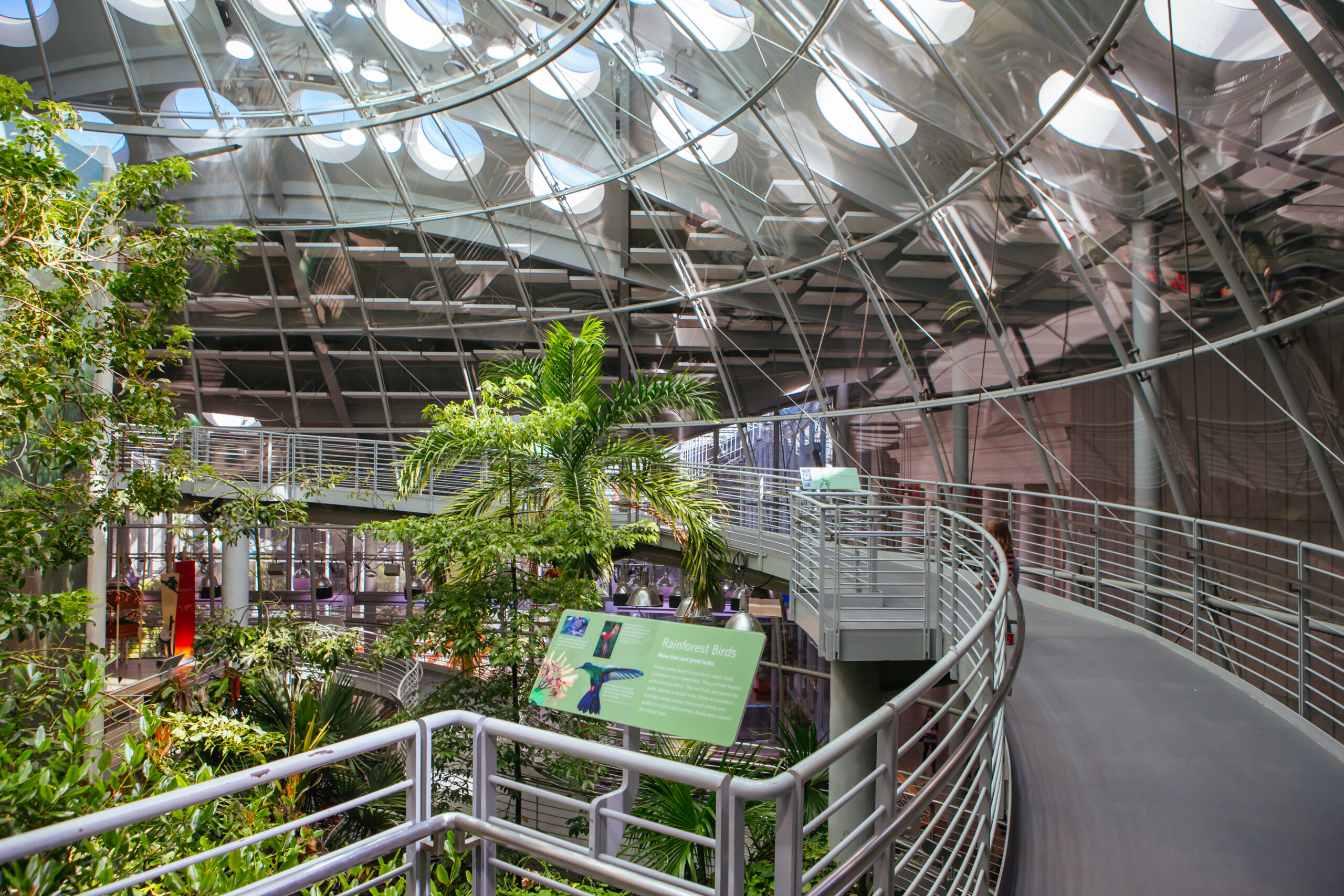 Interior of Rainforests of the World at California Academy of Sciences, one of the most romantic and fun Northern California date ideas.