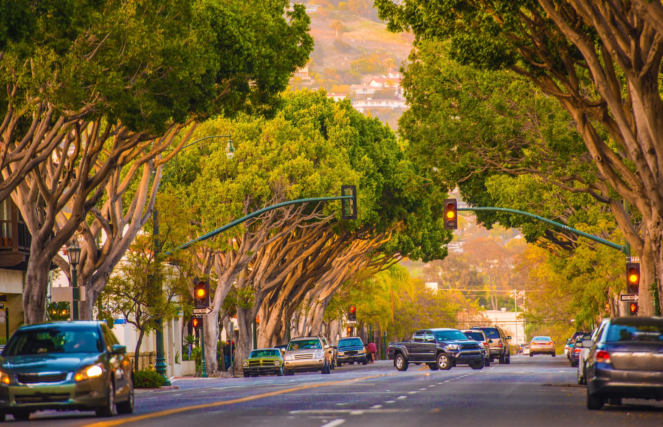 Street view with tree canopy in Santa Barbara.