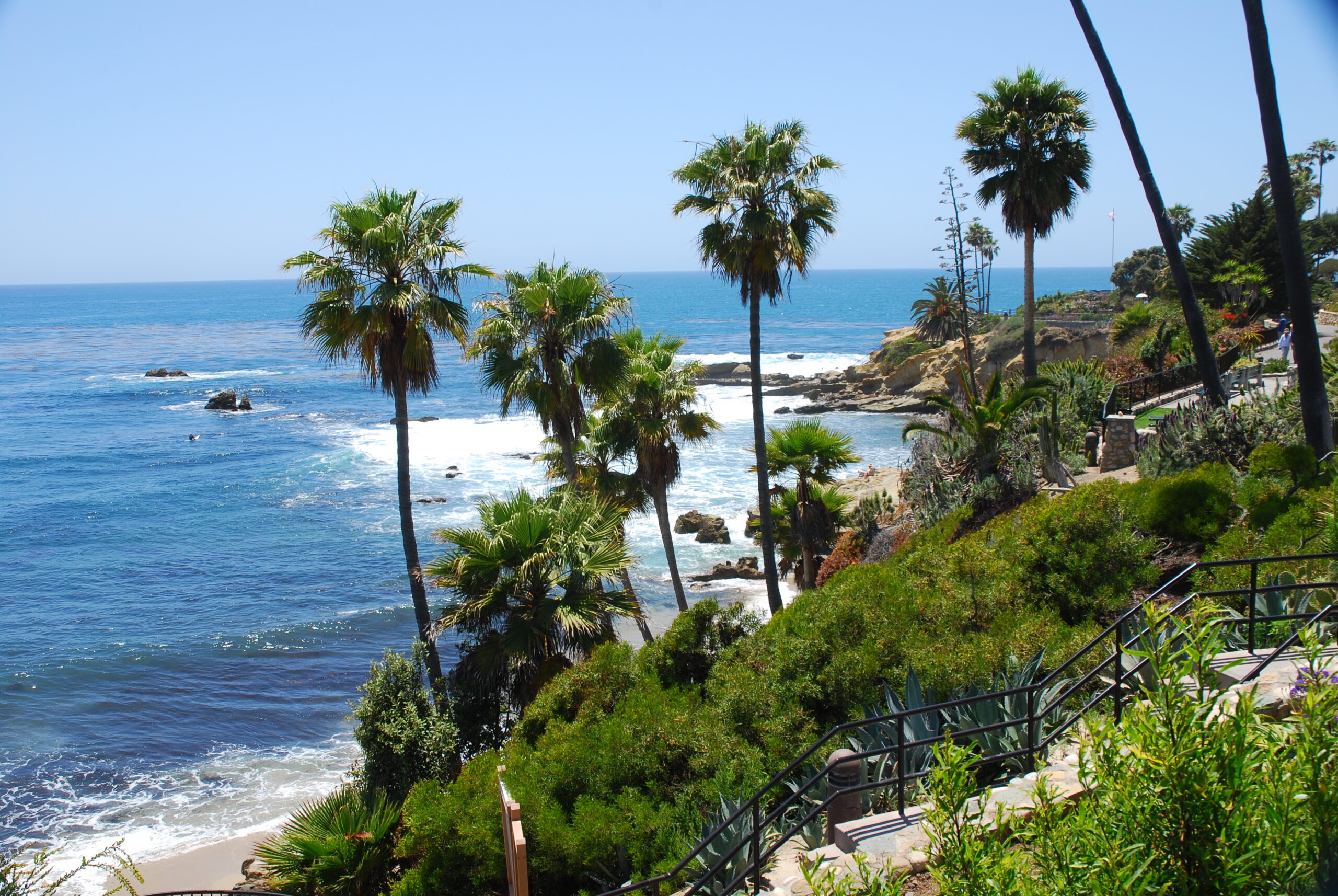 Palm trees on a beautiful coastline with blue waters and sky, the perfect setting for beachfront hotels in Southern California.