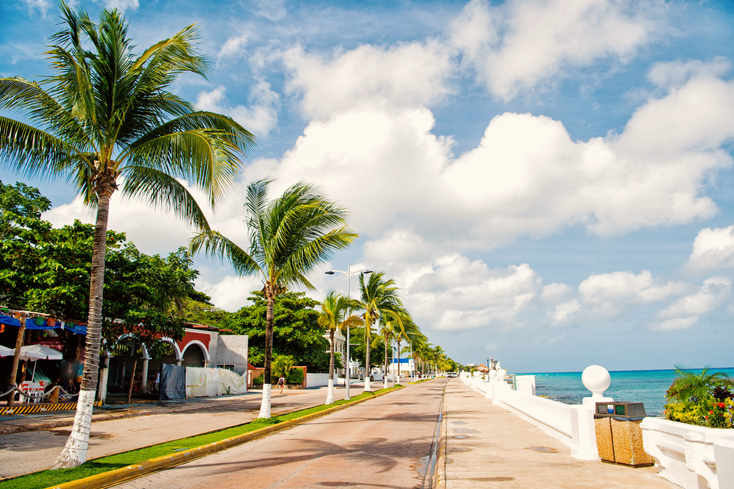 street road or car track with promenade or waterfront near water, green palm trees sunny outdoor in summer Cozumel, Mexico on cloudy blue sky background. traveling and vacation