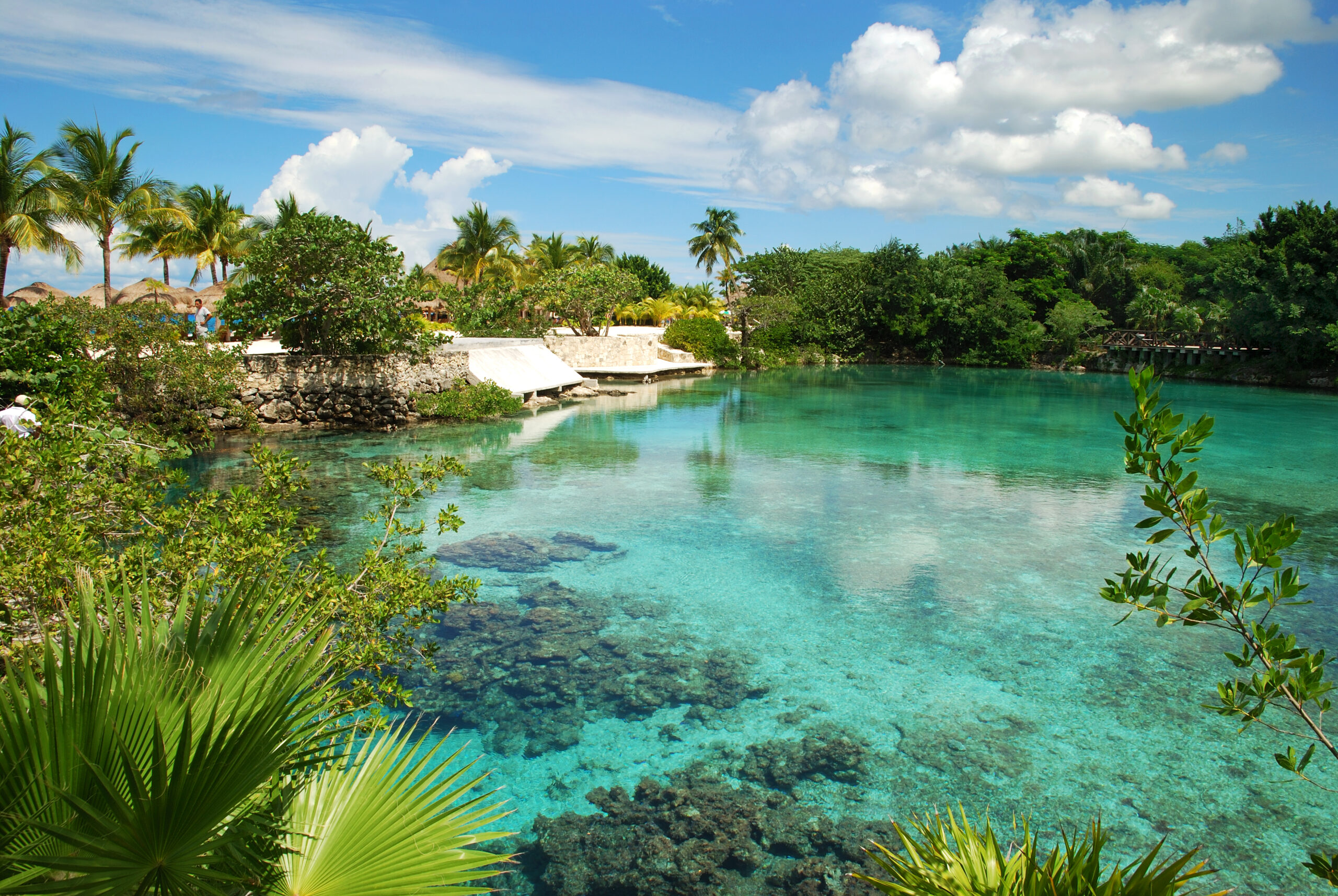 The lagoon of fresh water just next to Caribbean Sea in ecological park on Cozumel island (Mexico).