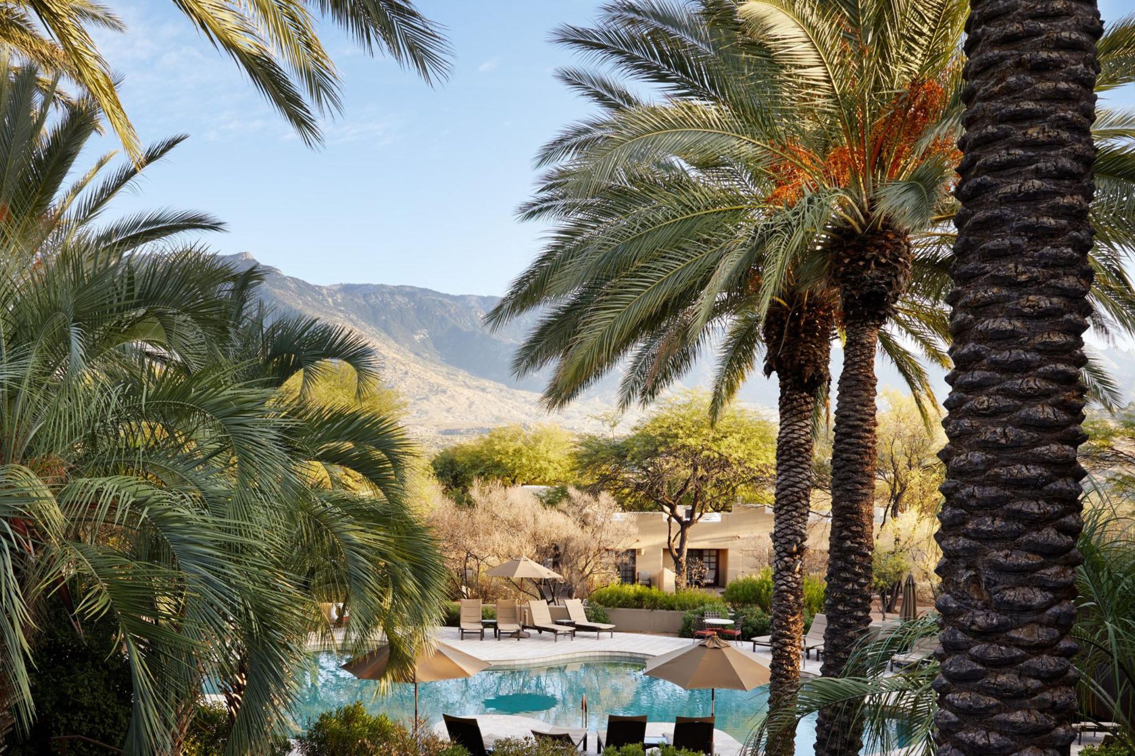 Scenic view of Sonoran mountains featuring public pool and palm trees.