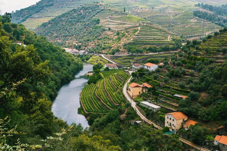 Top view of Douro river, and the vineyards are on a hills, Portugal.