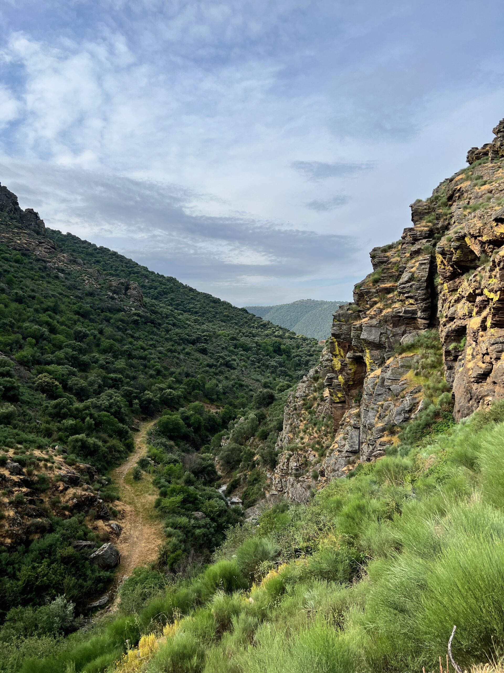 Hiking in the "Vultures Cliffs" national park in Portugal.