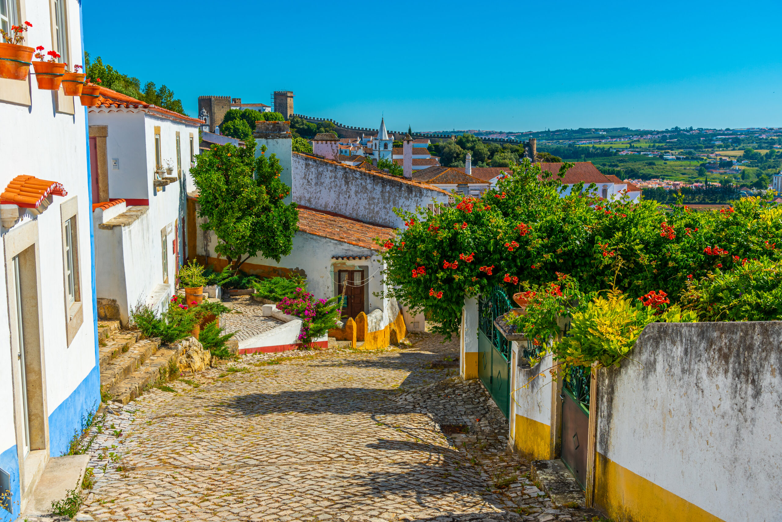 A narrow street inside of the Obidos castle in Portugal.