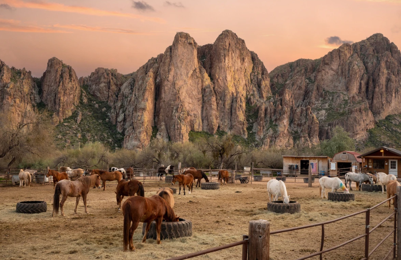 Horses feeding in front of towering cliffs at sunset, a secluded romantic getaways in the USA.