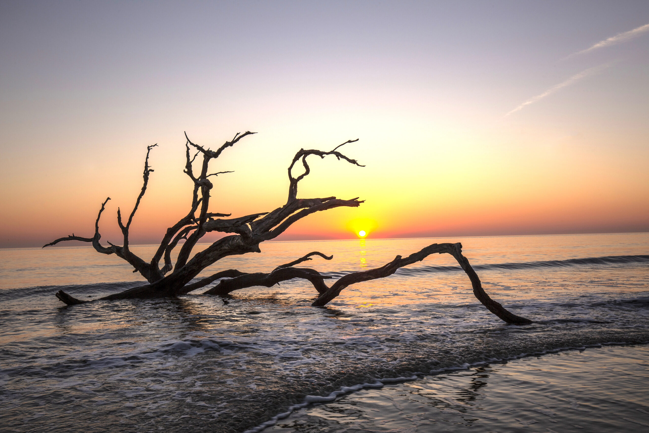 Driftwood Beach on Jekyll Island at sunset, one of the most romantic getaways for couples in GA.