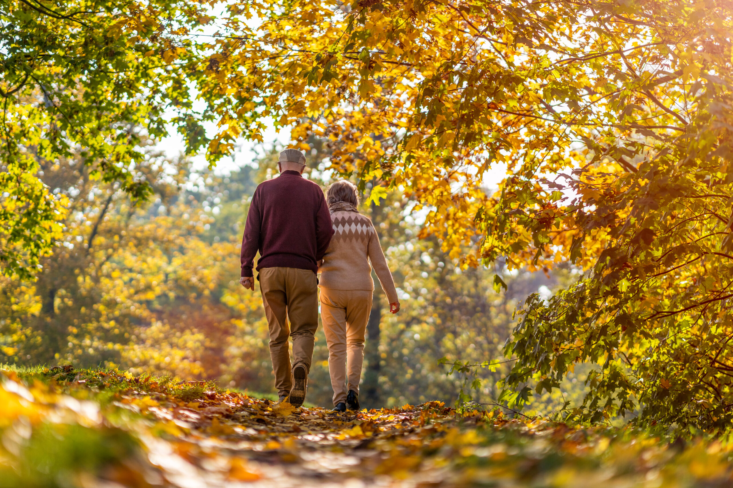 Elderly couple walking through a colorful forest trail during autumn.