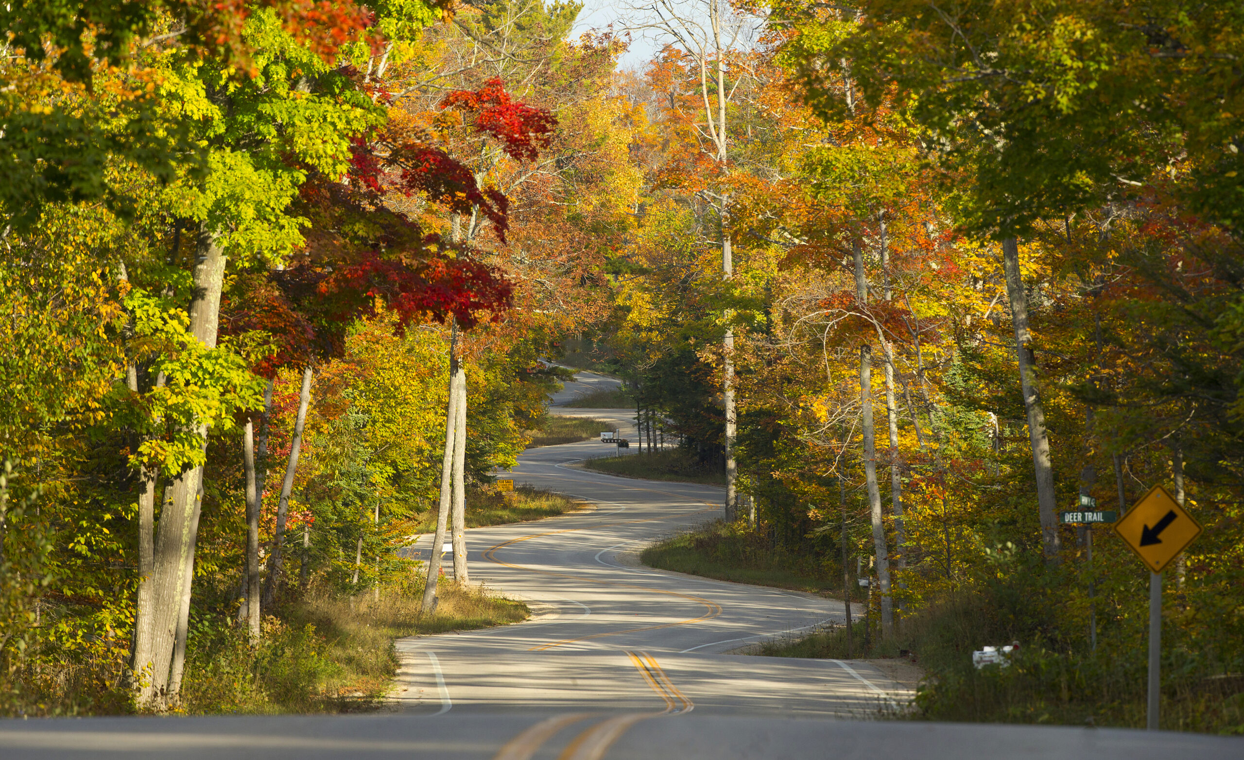 Winding road in Door County, Wisconsin, one of the best fall getaways for couples.