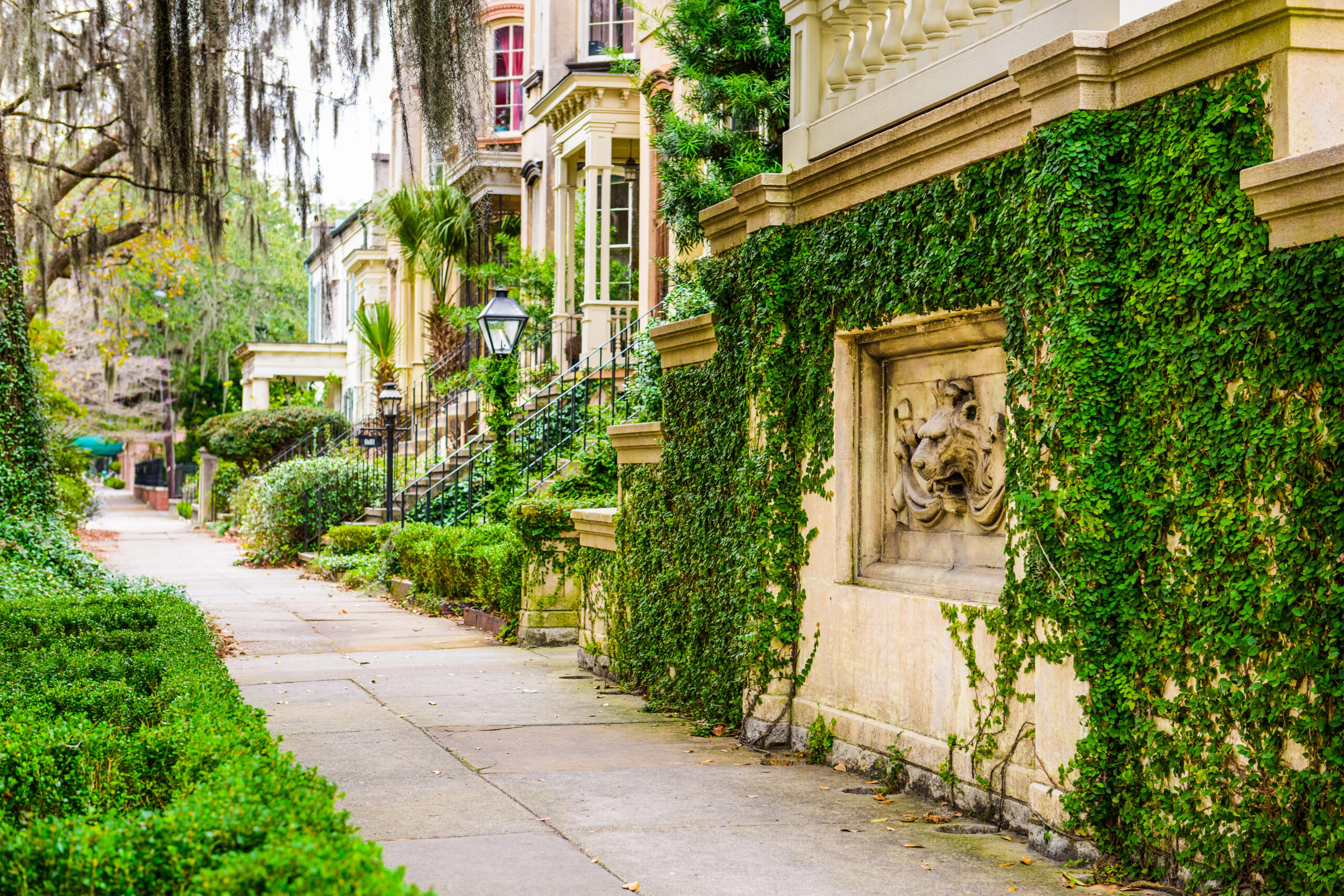 Charming street in Savannah covered in grape vines, one of the most romantic getaways for couples in GA.