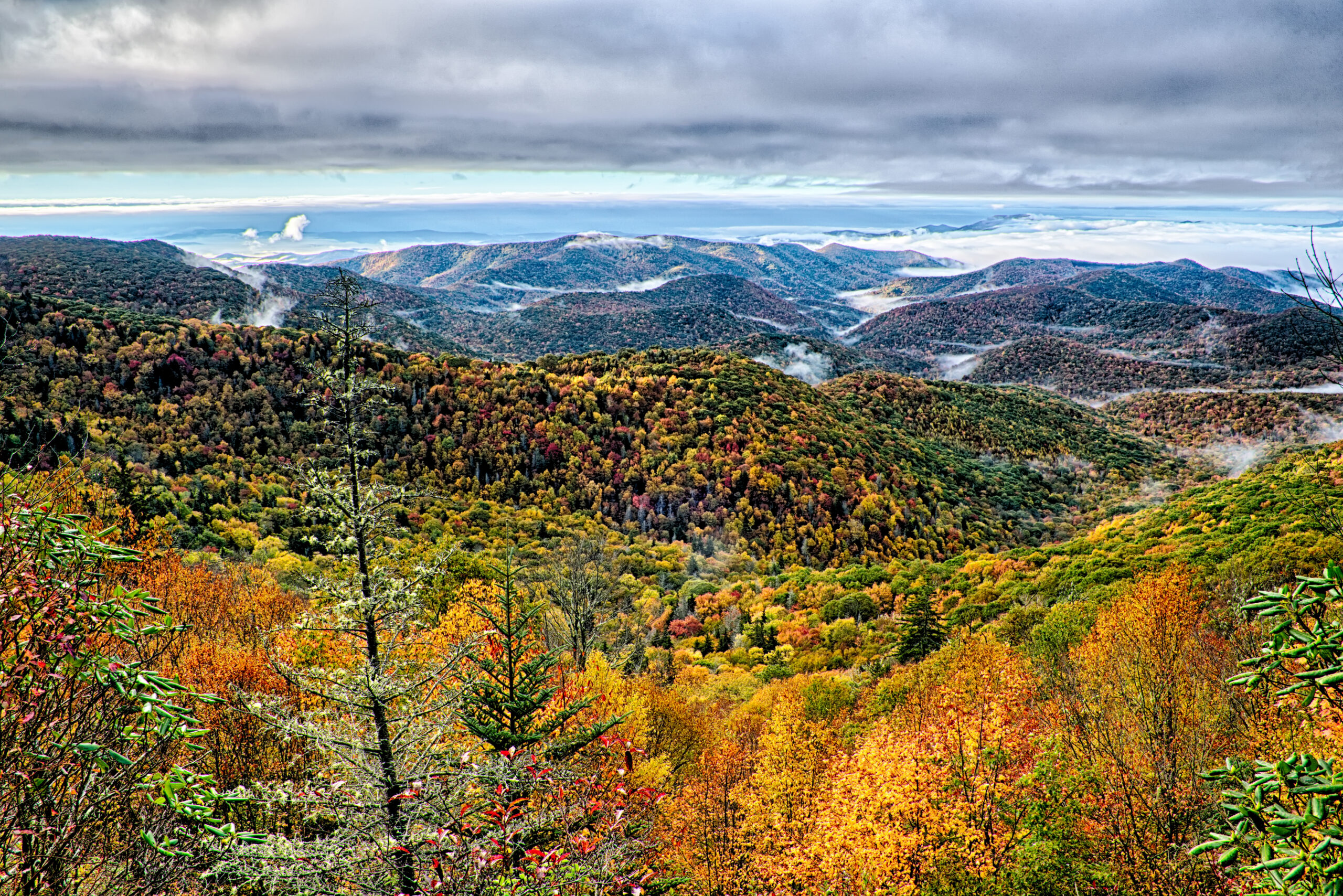 Autumn foliage on Blue Ridge Parkway mountains valley, North Carolina.