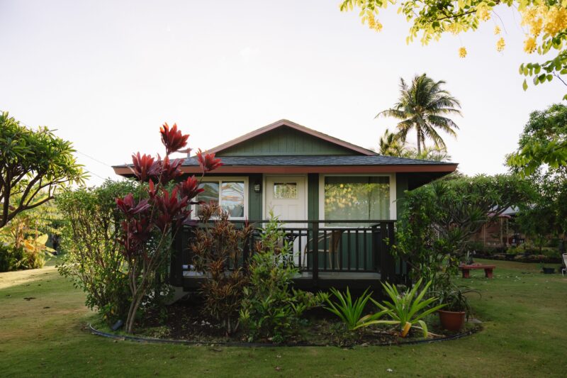 A small bungalow is nestled among lush plants and trees with a clear sky backdrop. It's one of the most romantic getaways in December.
