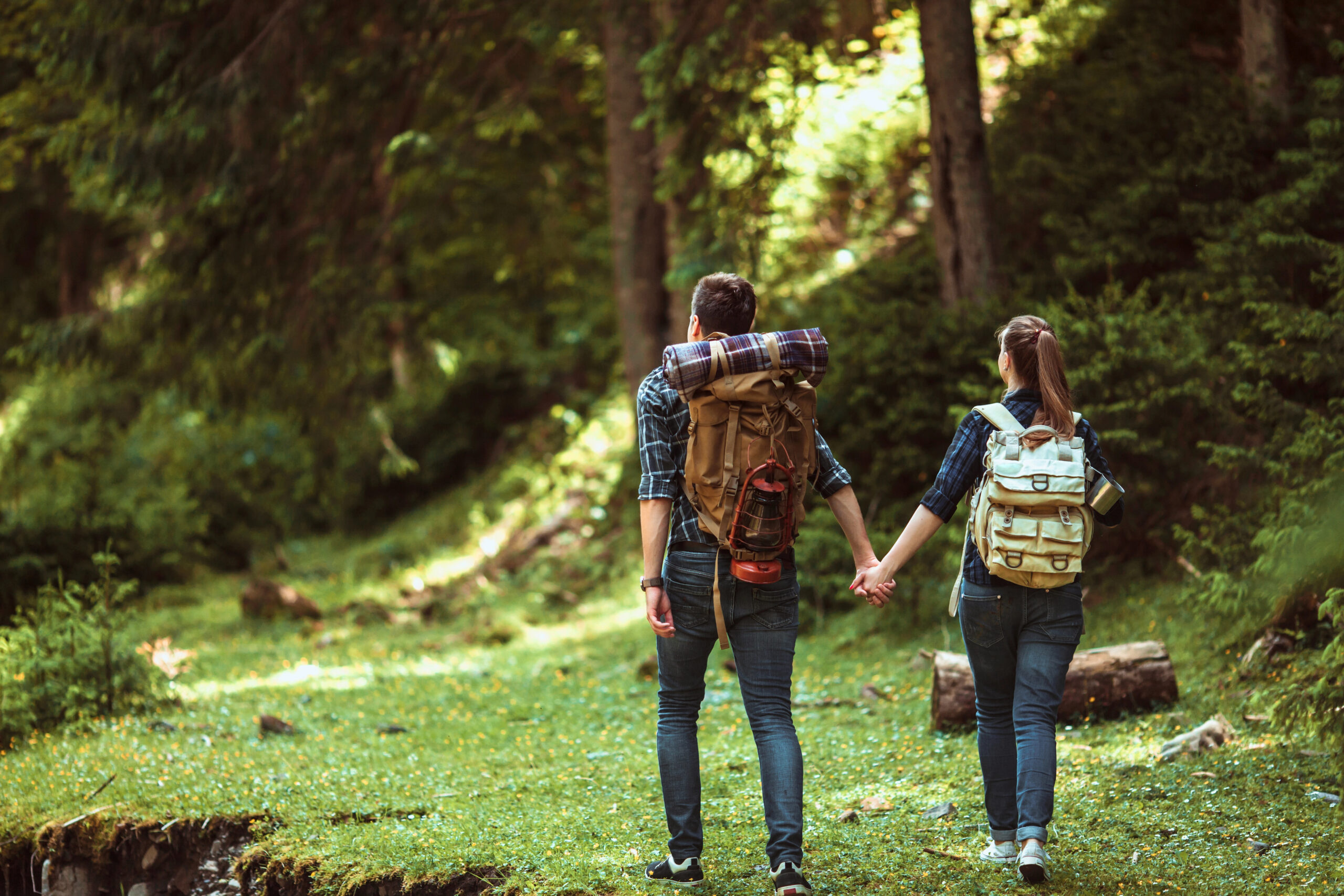 Two people with backpacks hold hands while walking on a forest trail surrounded by greenery.