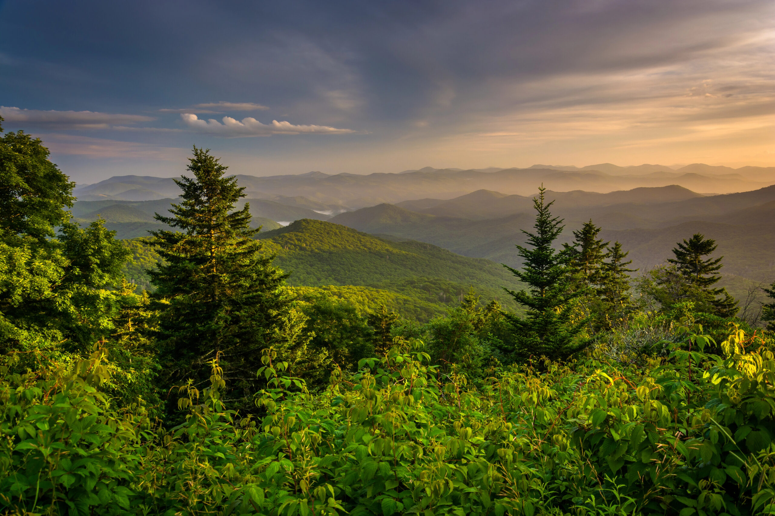 Sunset illuminates a lush green mountain range with dense forest in the foreground and misty hills receding beneath a partly cloudy sky.