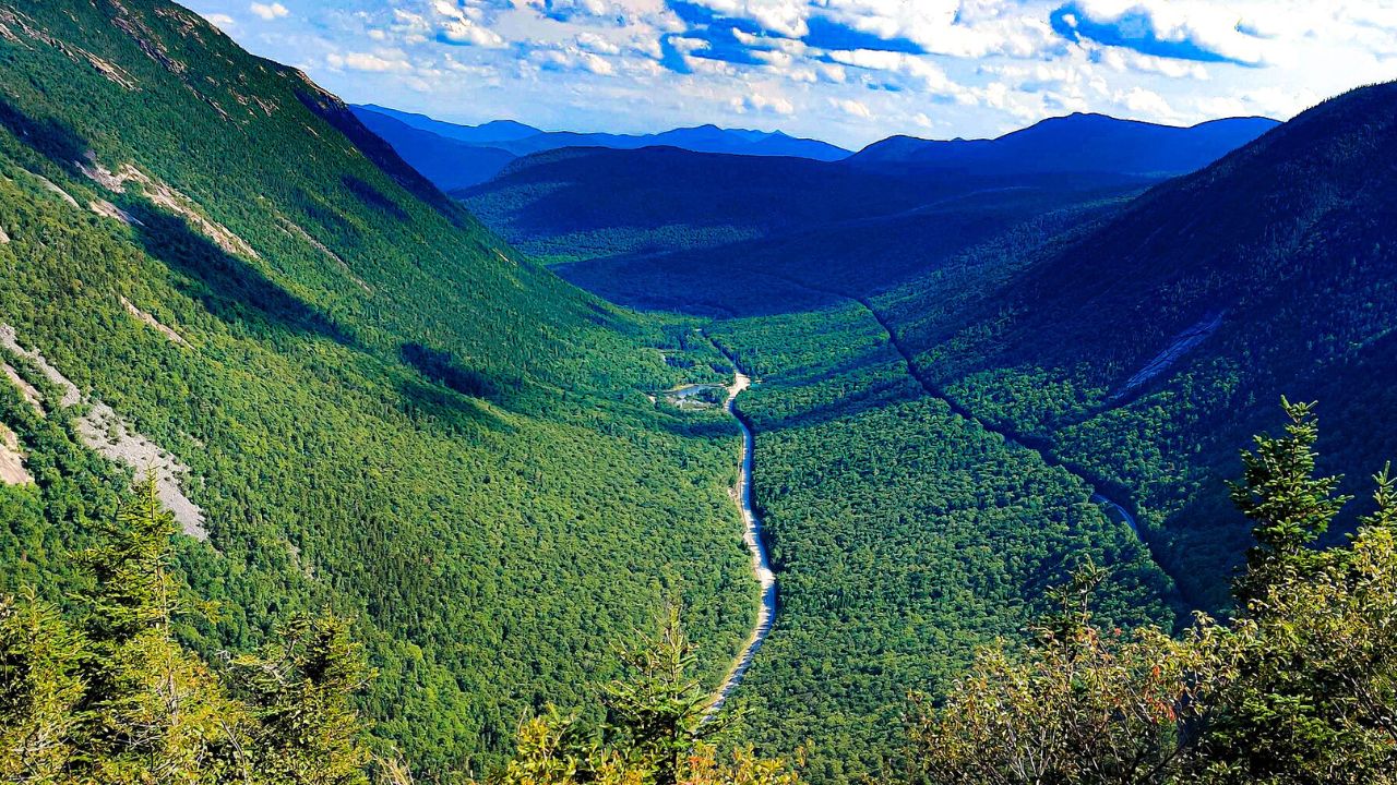 Winding road through lush green mountains