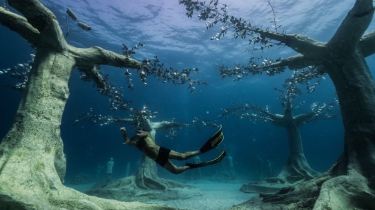 Snorkeler exploring underwater sculpture park