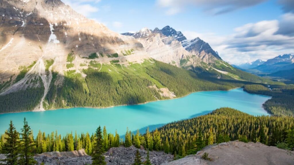 Turquoise waters of Peyto Lake surrounded by forest and mountains in Banff National Park, Alberta, Canada.