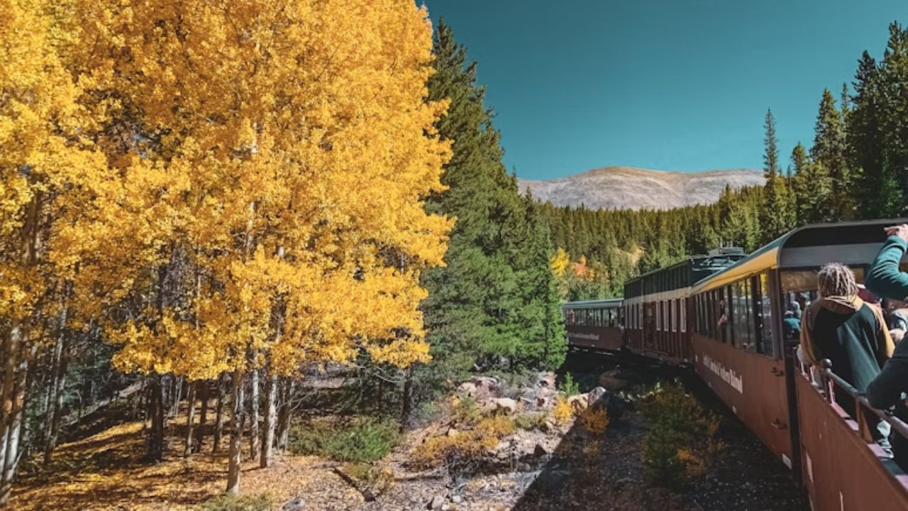 Scenic fall ride on the Leadville Colorado & Southern Railroad with golden aspens and mountain views in Colorado.