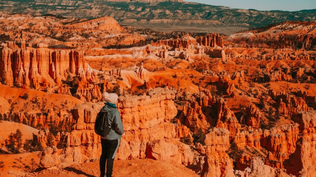 Traveler overlooking the vibrant red rock hoodoos and canyons of Bryce Canyon National Park in Utah during daylight