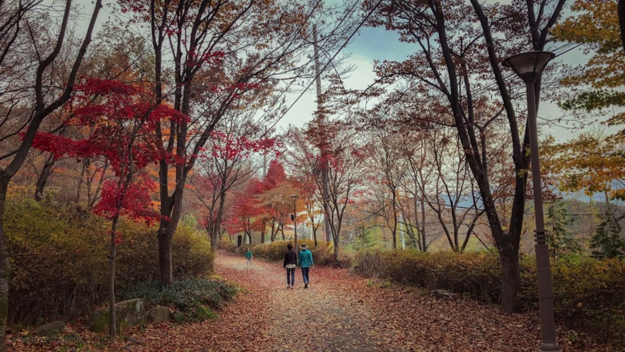 Couple walking on a leaf-covered path through a colorful autumn forest with red and orange foliage in a peaceful park setting.