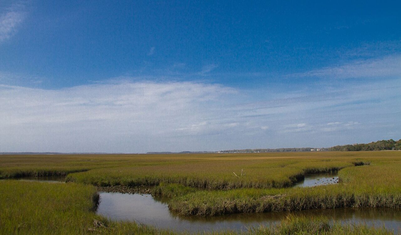 Amelia Island scenic marshlands