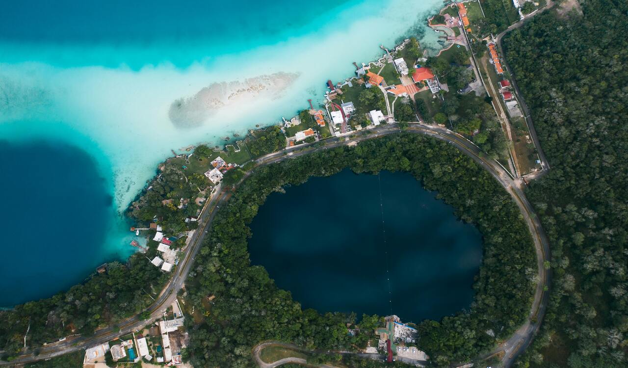 Aerial View of Trees near the Ocean