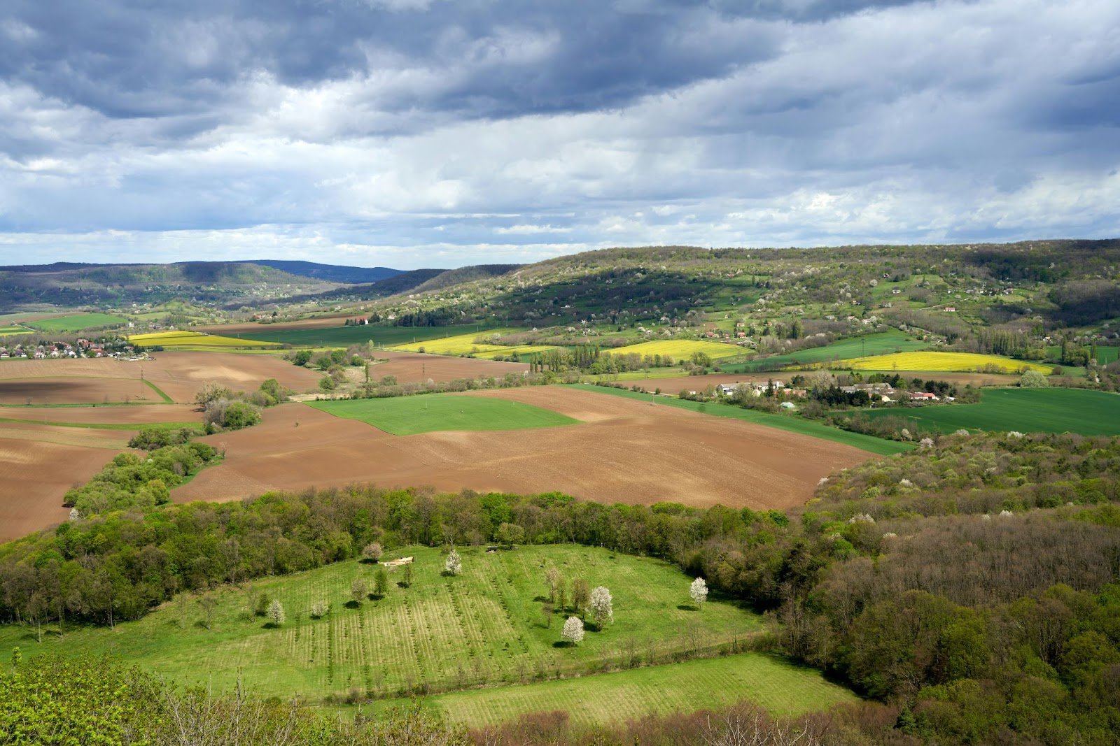 Barboursville Vineyards (Virginia)