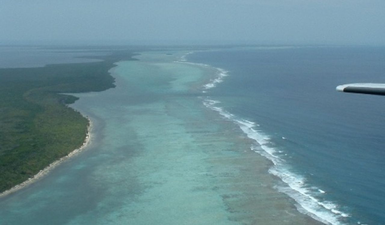 Remote coastline where jungle meets sea