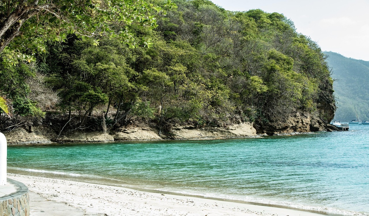 Bequia, St vincent and the grenadines, White sand beach image