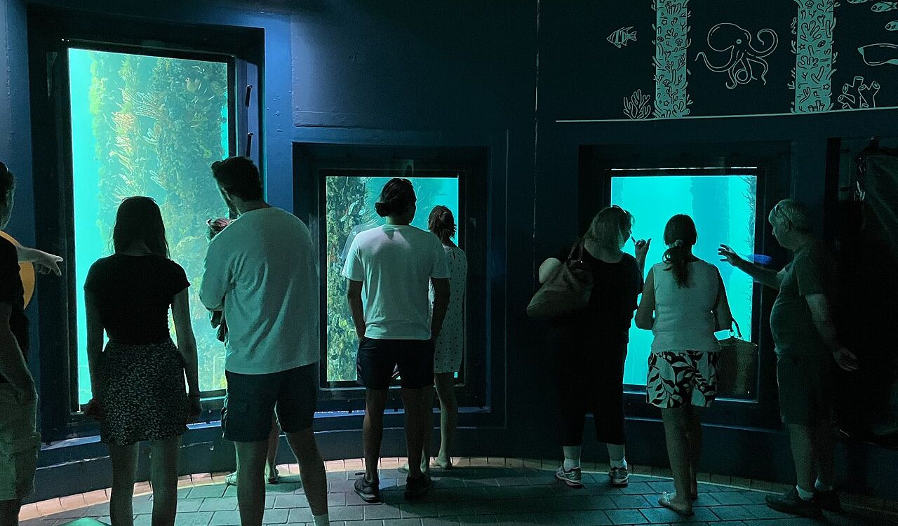 Visitors viewing underwater sculptures at Busselton Jetty in Australia