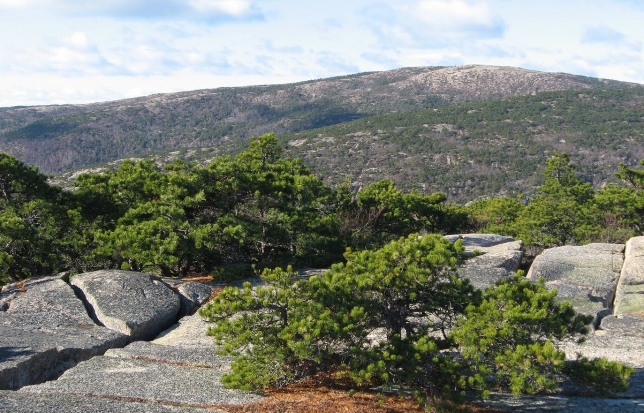 Rocky summit view of Cadillac Mountain, Maine