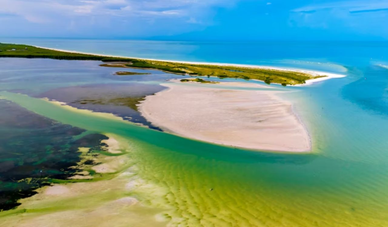 Caladesi Island – Boater’s Powder Sand Escape