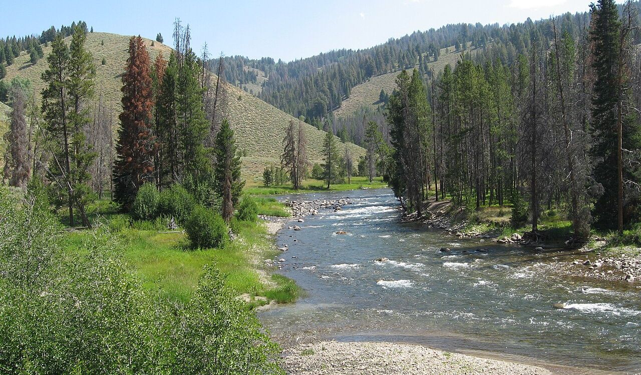 A peaceful stretch of the California Salmon River winding through forested hills