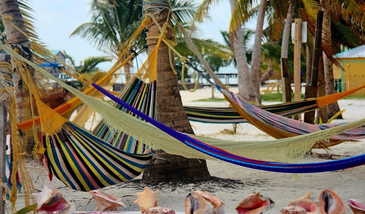 Hammocks, Nature, Belize image