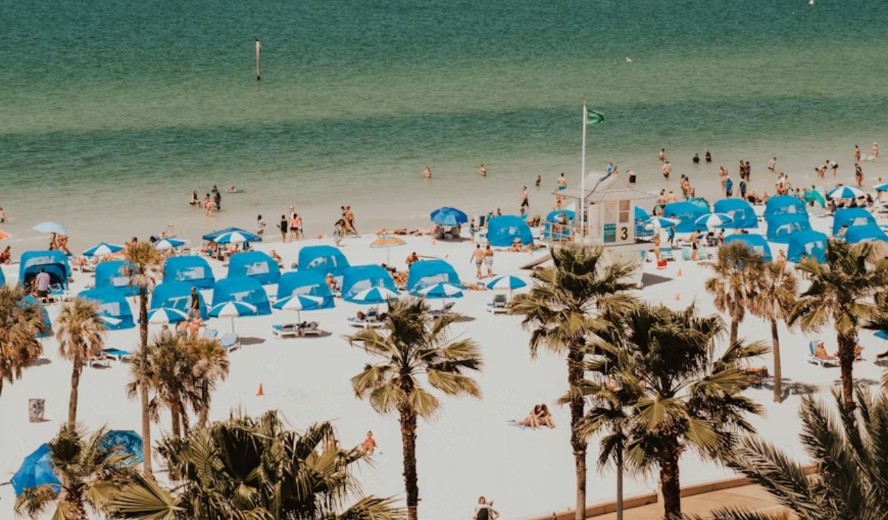 Clearwater Beach – Sugar Sand & Sunset Shows