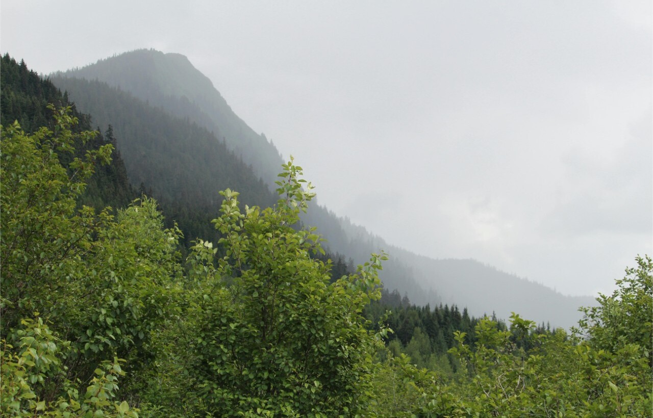 . Cope Park and Gold Creek