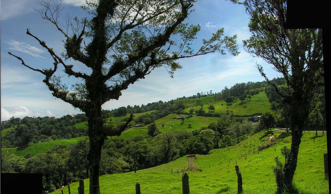 Lush green hills and peaceful skies