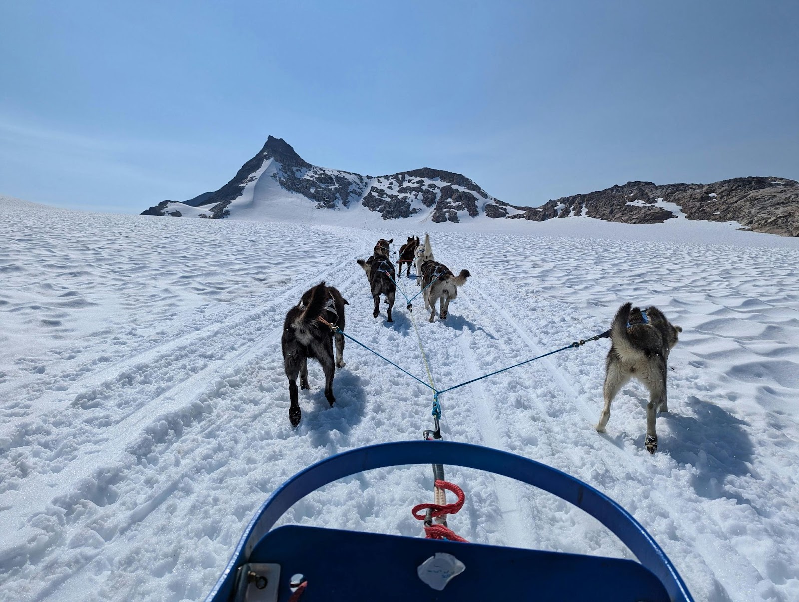 Sled dogs pull a sled across snowy terrain toward distant mountains beneath a clear blue sky.