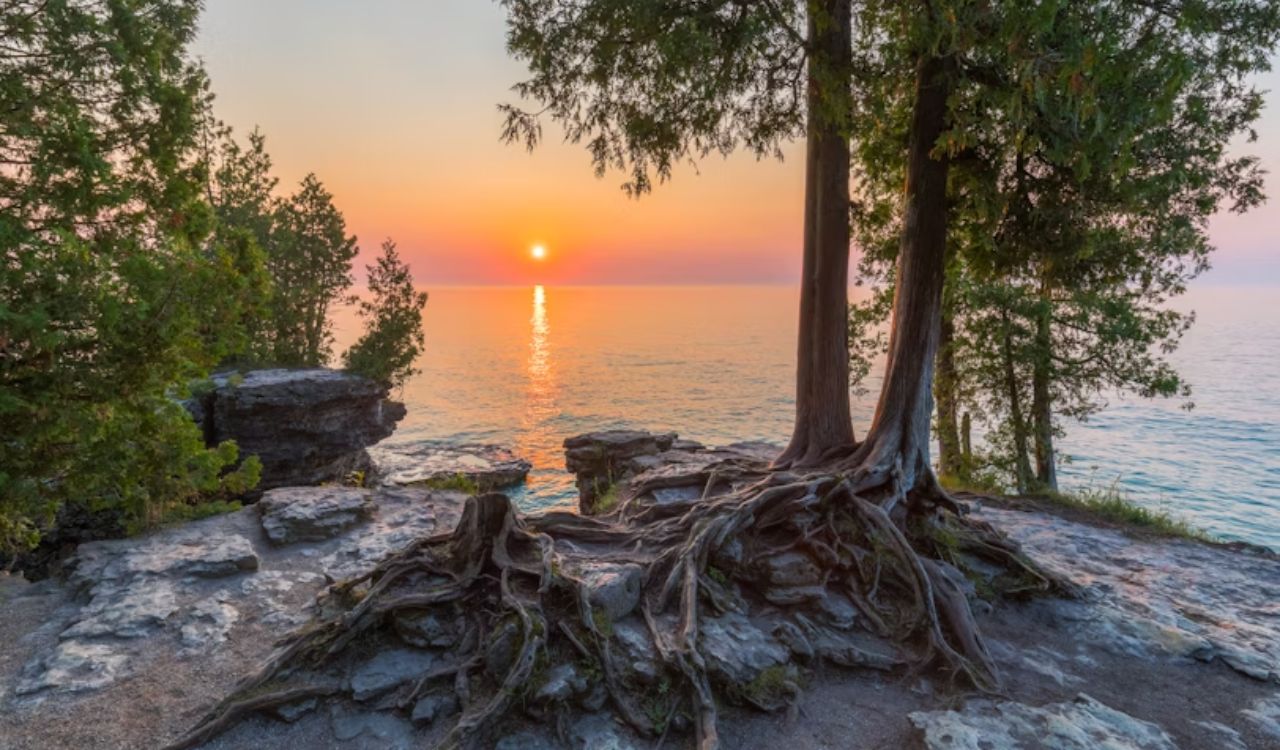 Exposed tree roots on rocky ground by a lake at sunset, framed by trees.