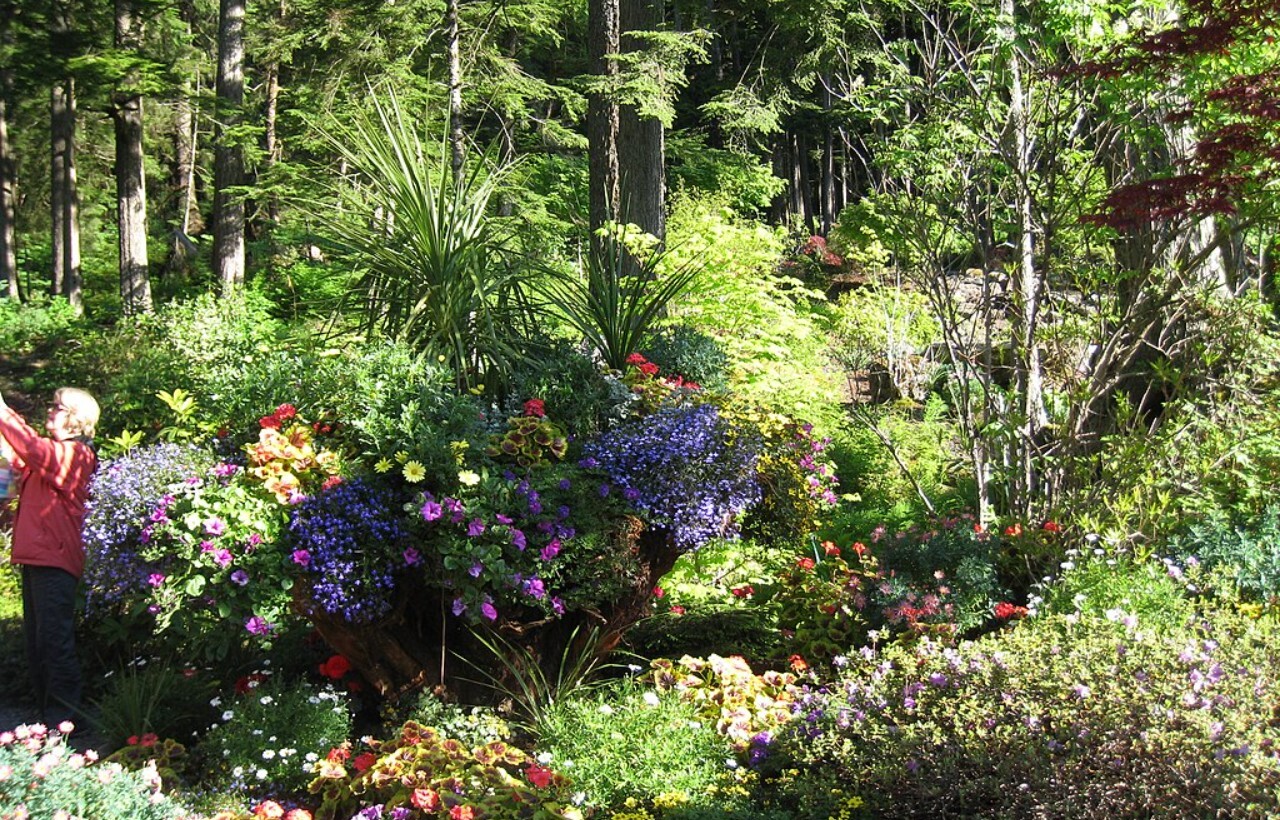 Glacier Gardens Rainforest Adventure