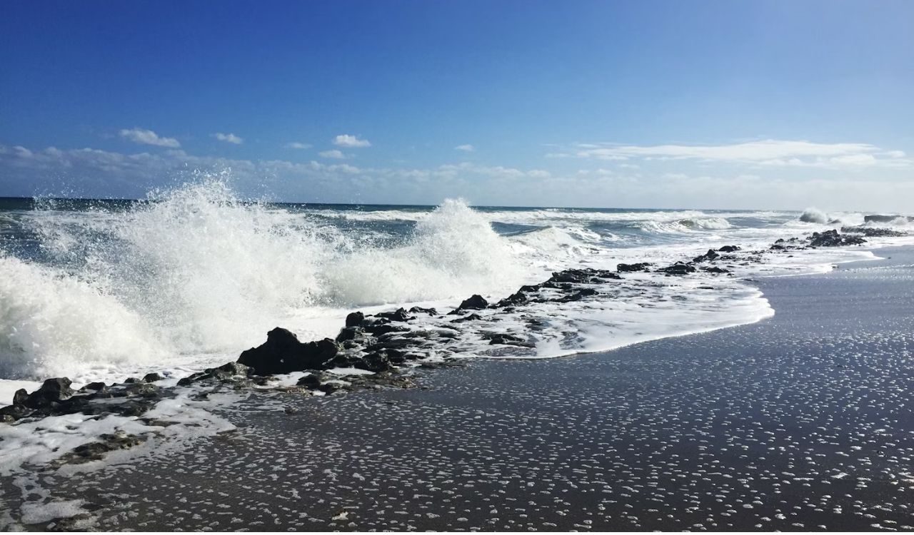 Jupiter Beach – Wild Beauty Meets Blue Waters