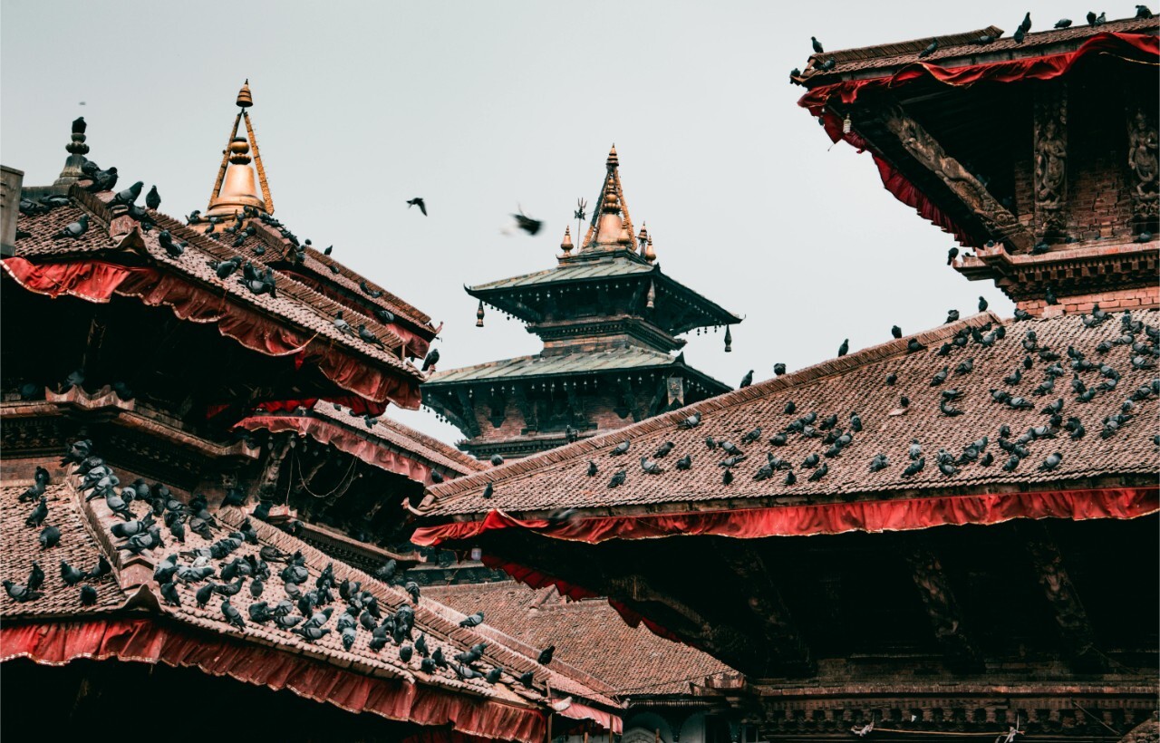 Pigeons perched on ornate, red-trimmed pagoda rooftops with golden spires under an overcast sky.