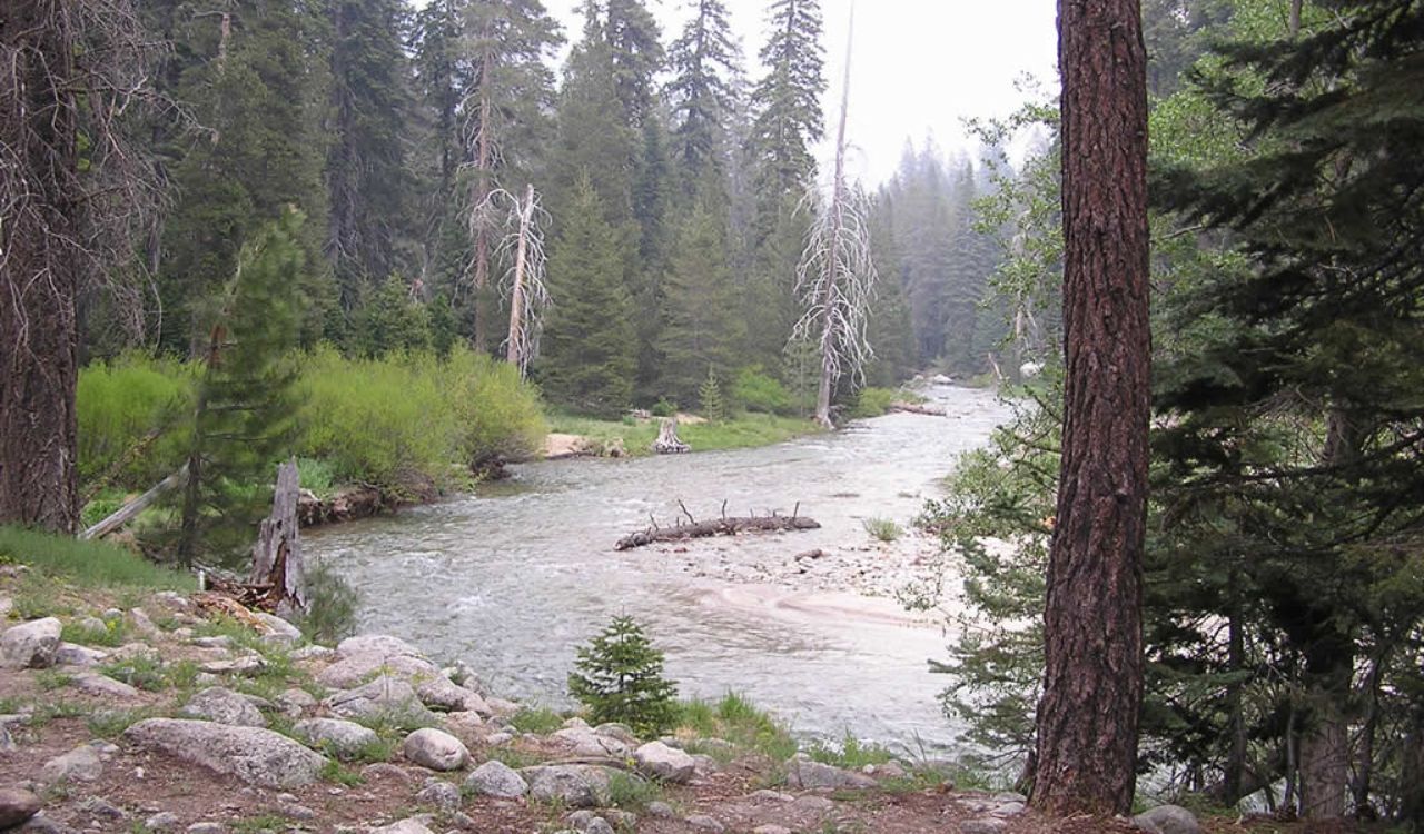 Kaweah River delivers fast, technical rapids near California’s Sequoia National Park