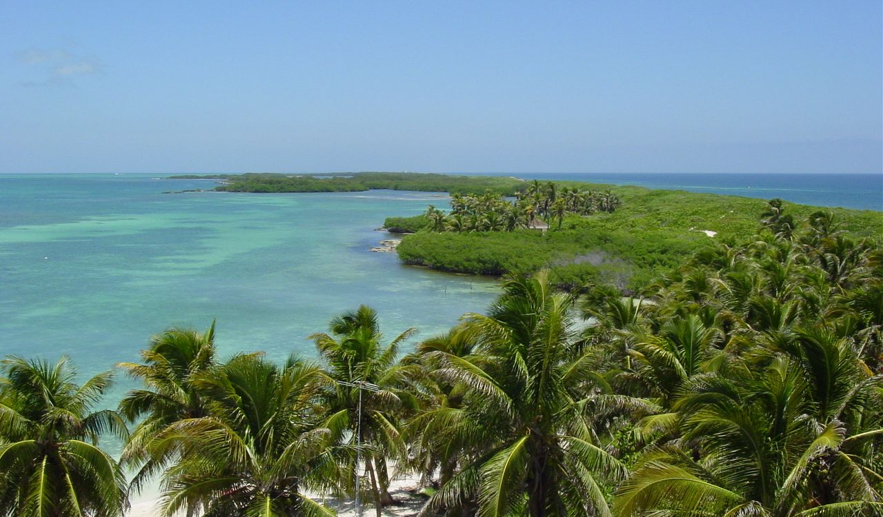 Palm-fringed paradise with crystal-clear waters
