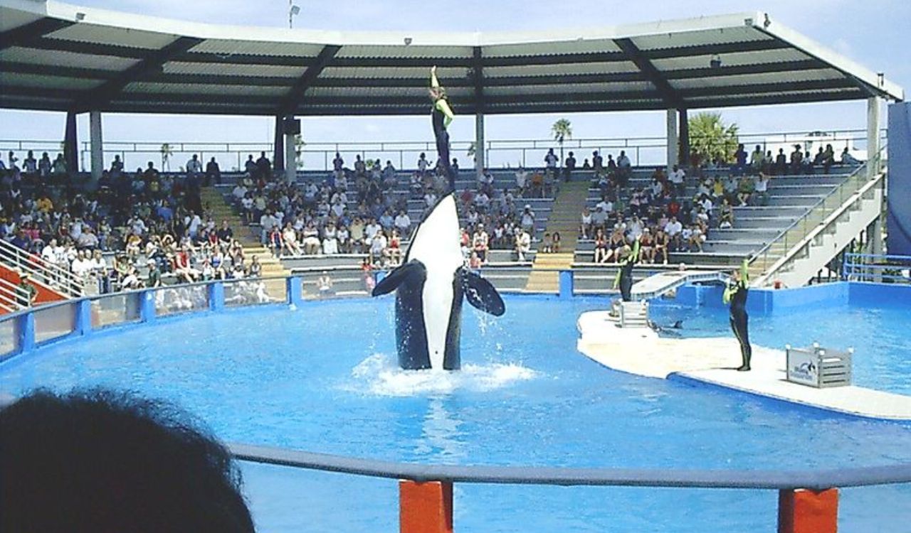 Miami Seaquarium – Past Its Prime and Packed