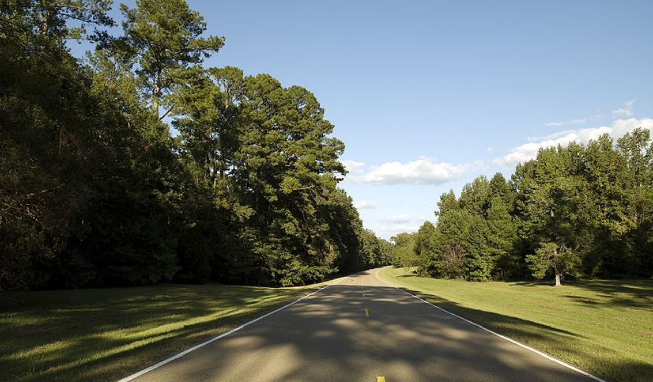 A two-lane road winds through tall trees and grass beneath a clear blue sky.