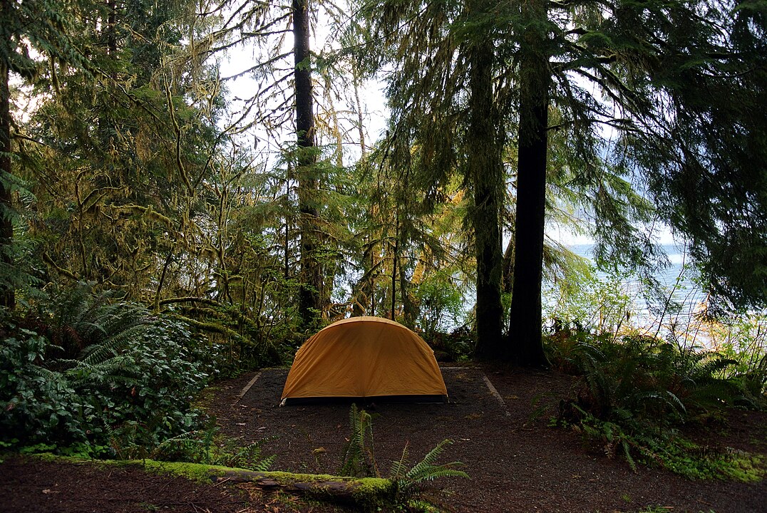 A yellow tent stands in a forest clearing amid tall trees and greenery, with a body of water in the background.