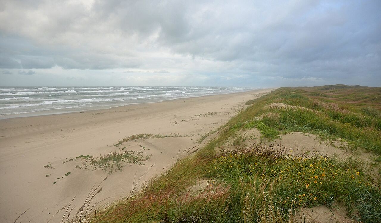Padre Island National Seashore beach and dunes on the Texas Gulf Coast